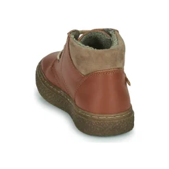 El Naturalista - HELMET