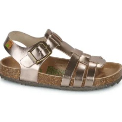 El Naturalista - INCOGNITO