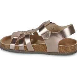 El Naturalista - INCOGNITO