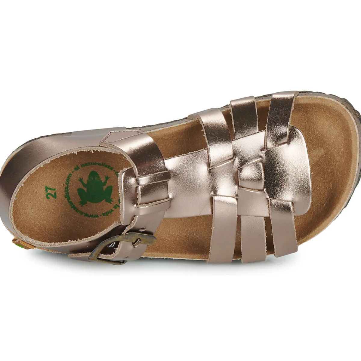 El Naturalista - INCOGNITO