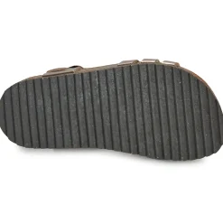 El Naturalista - INCOGNITO