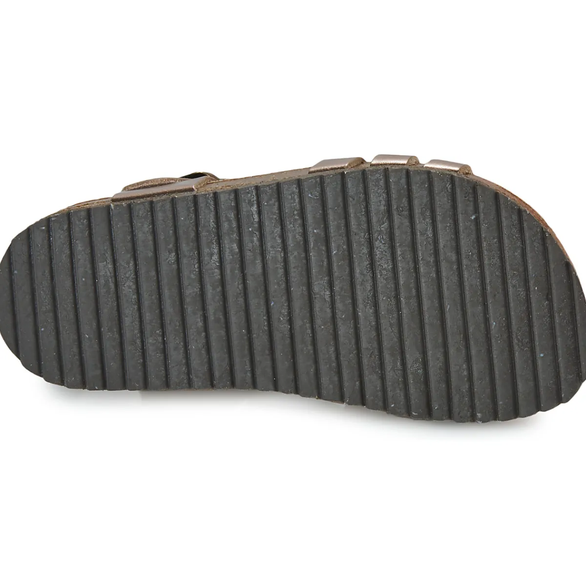 El Naturalista - INCOGNITO