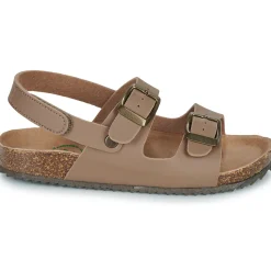 El Naturalista - INCOGNITO