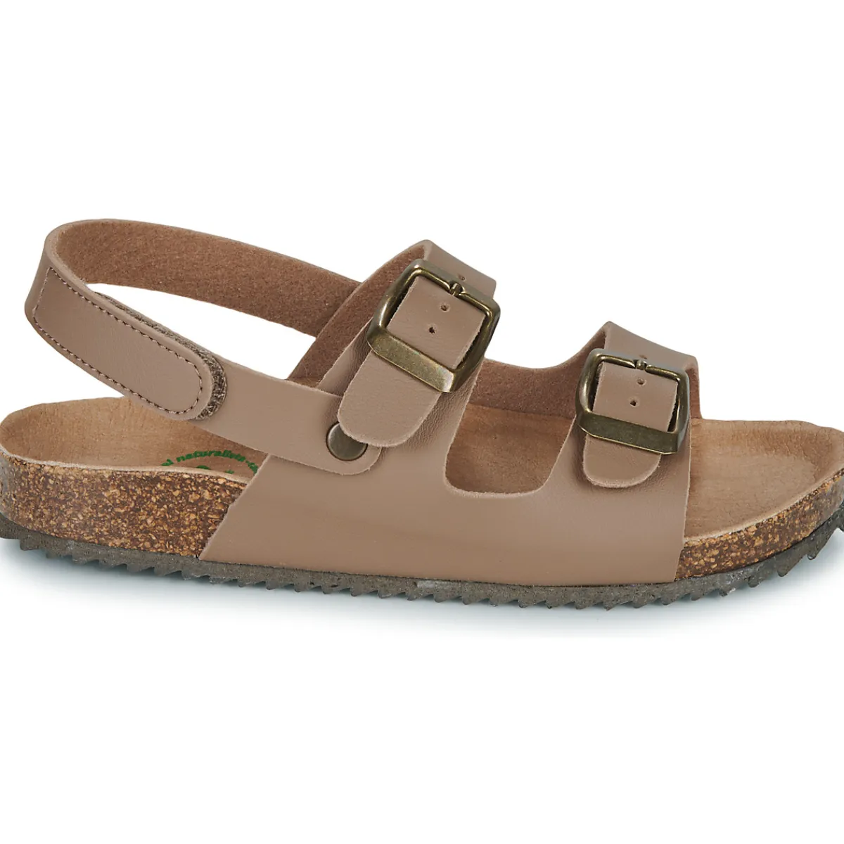 El Naturalista - INCOGNITO