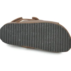 El Naturalista - INCOGNITO