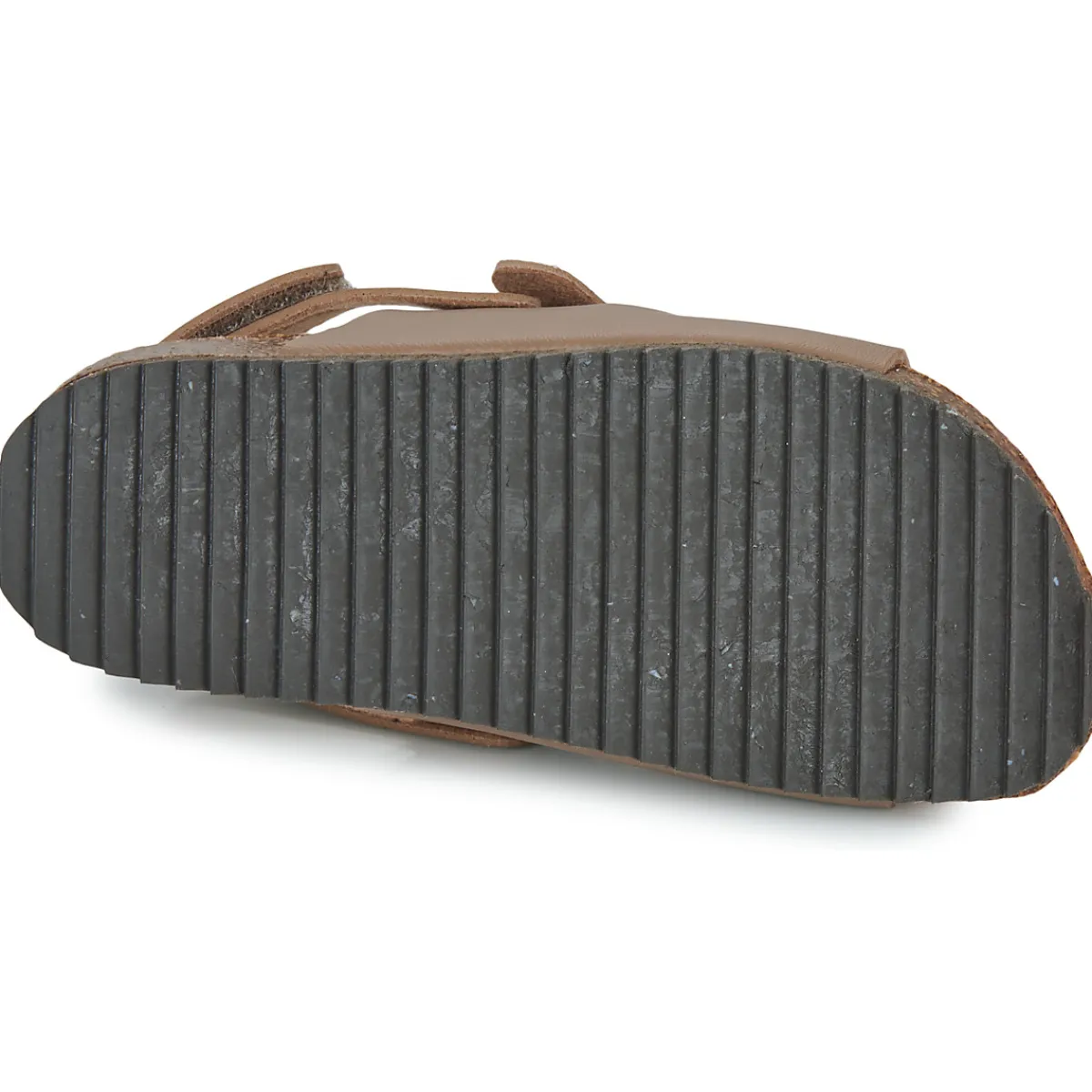 El Naturalista - INCOGNITO