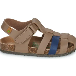 El Naturalista - INCOGNITO Online