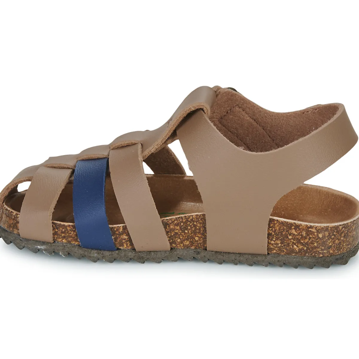 El Naturalista - INCOGNITO Online