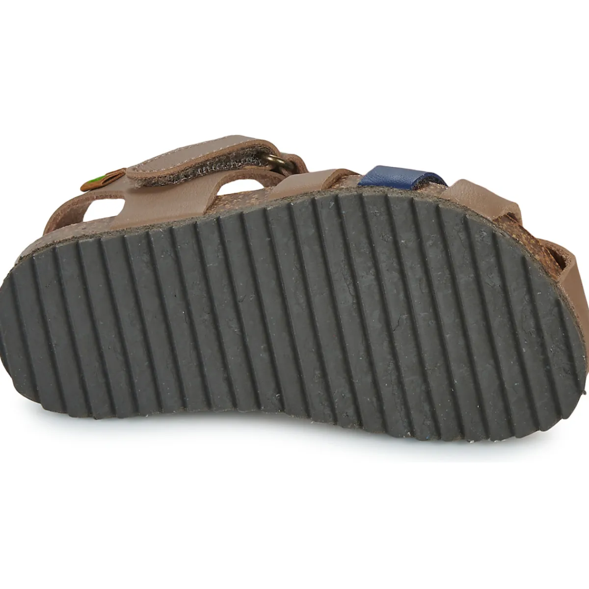 El Naturalista - INCOGNITO Online