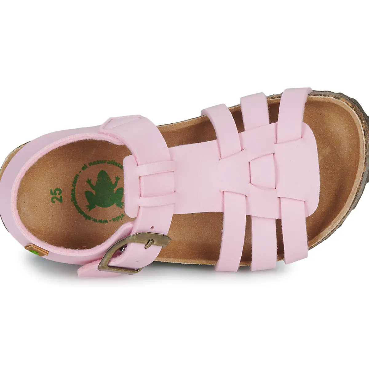 El Naturalista - INCOGNITO