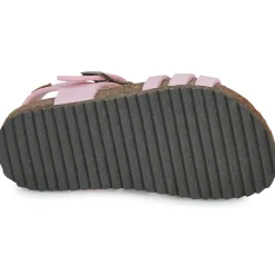 El Naturalista - INCOGNITO