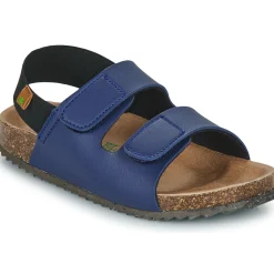 El Naturalista - INCOGNITO Marine Outlet