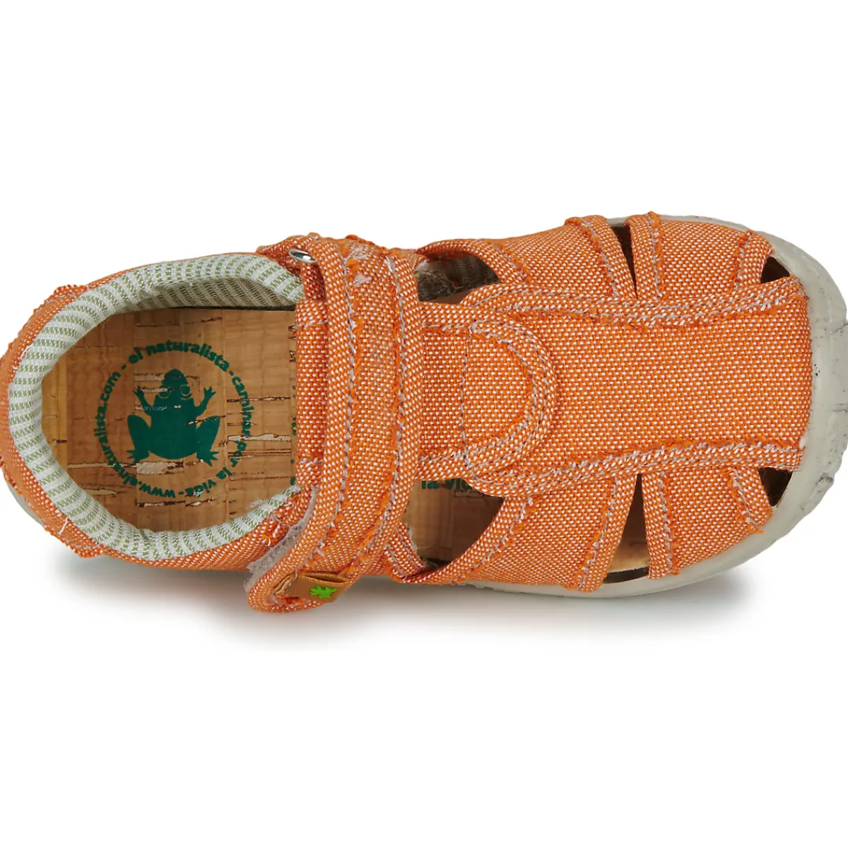 Hot El Naturalista - NT74196 Orange