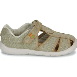 El Naturalista - NT77124-MUSGO