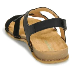 El Naturalista - PANGLAO N5819