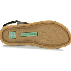 El Naturalista - PANGLAO N5819