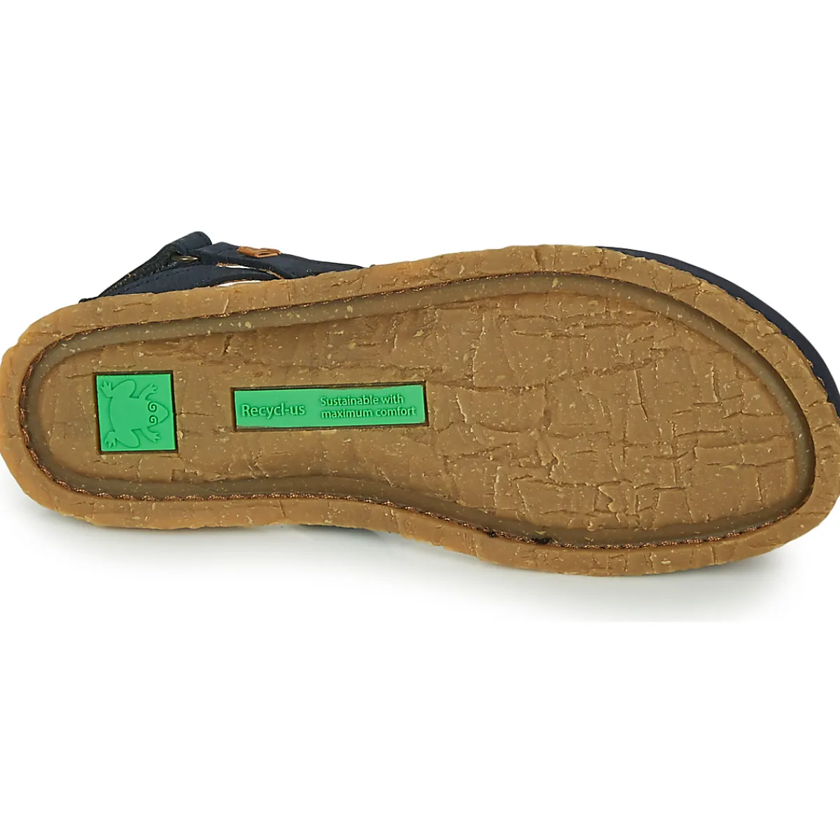 El Naturalista - PANGLAO N5813