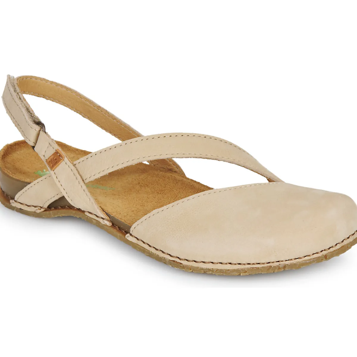 El Naturalista - PANGLAO N5813