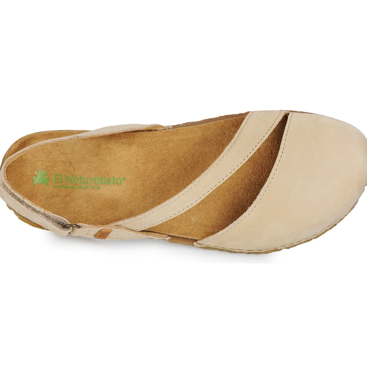 El Naturalista - PANGLAO N5813