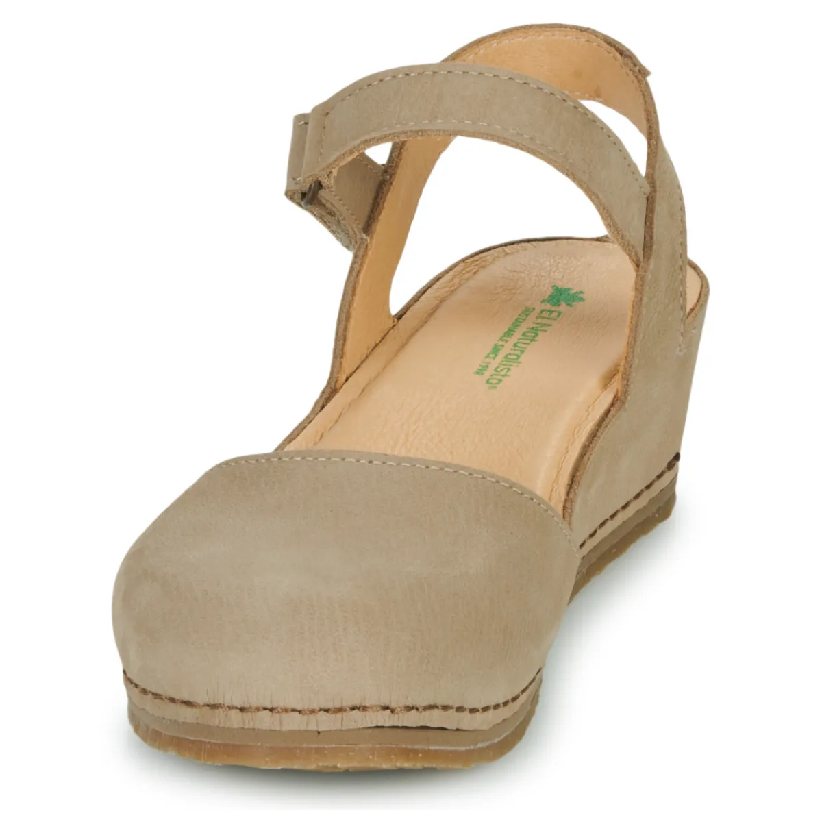 El Naturalista - PICUAL N5850