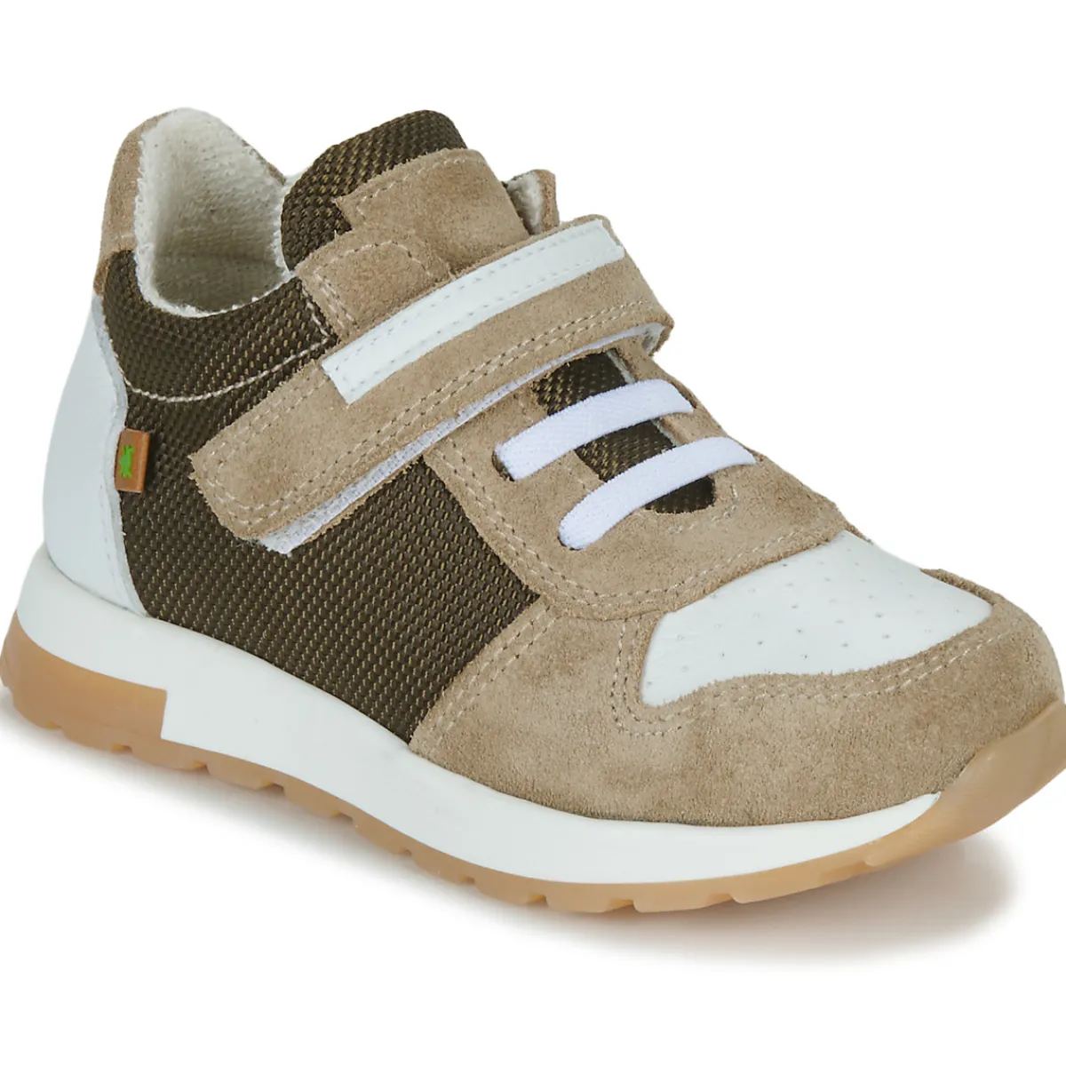 El Naturalista - PORTO New