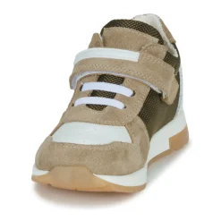 El Naturalista - PORTO New