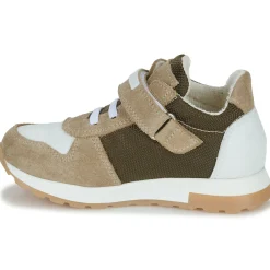 El Naturalista - PORTO New