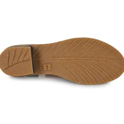 El Naturalista - SABAL N5801