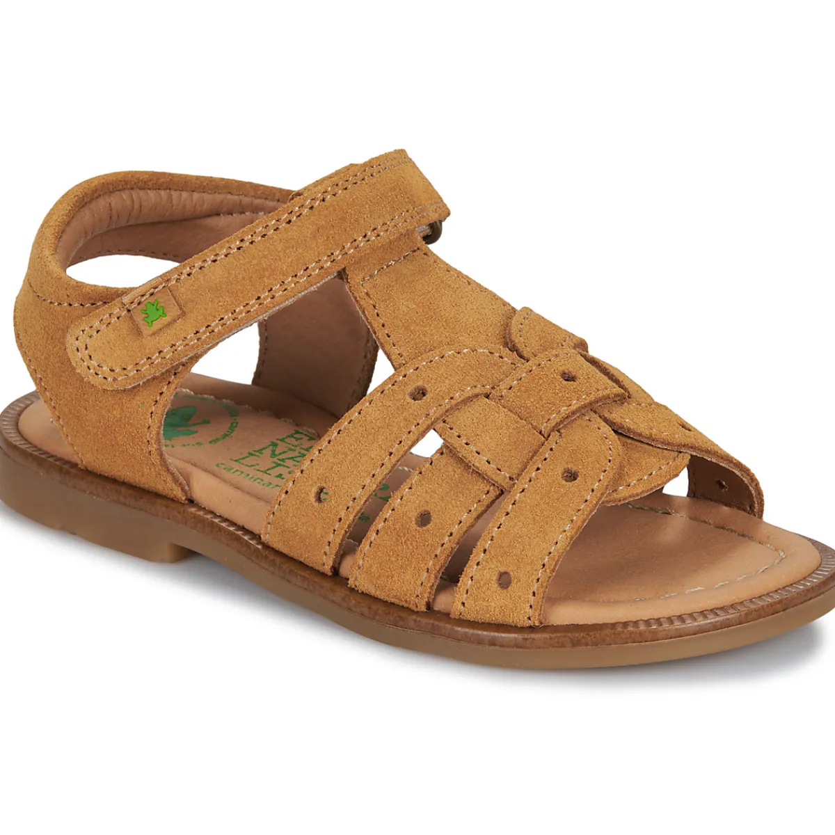 El Naturalista - 15275-SETTER