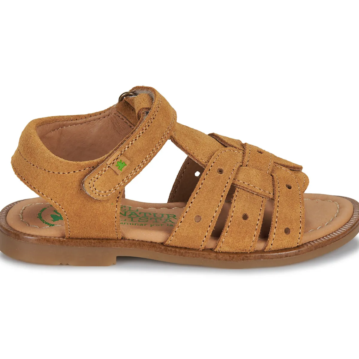 El Naturalista - 15275-SETTER