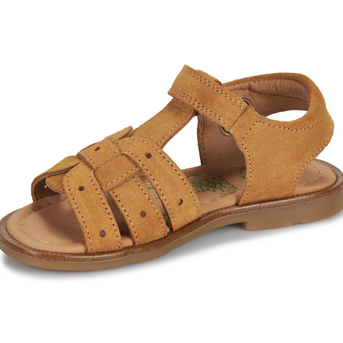 El Naturalista - 15275-SETTER