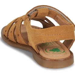 El Naturalista - 15275-SETTER