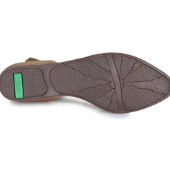 El Naturalista - STELLA ND54