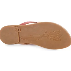 El Naturalista - TONAMI Rose Best