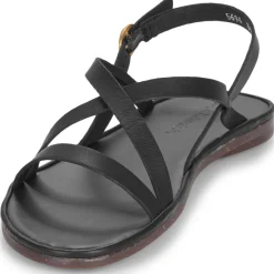 El Naturalista - TULIP N5694