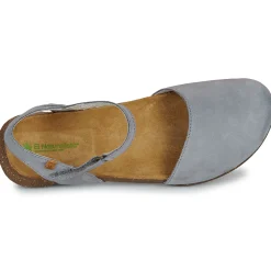 El Naturalista - WAKATAUA N412 Bleu