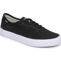 Element - PASSIPH Discount