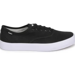 Element - PASSIPH Discount