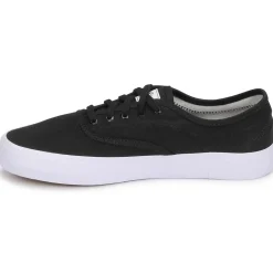 Element - PASSIPH Discount