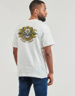 Element - TIMBER SIGHT SS Blanc Best