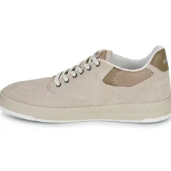 Element - TOPAZ C3 3.0