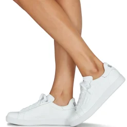 Discount Emporio Armani EA7 - CLASSIC NEW CC Blanc
