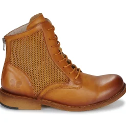 Clearance Felmini - E076-COWER-DIAMANTE-AMBAR Marron