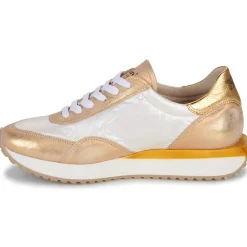 New Felmini - E145-VERSION-4