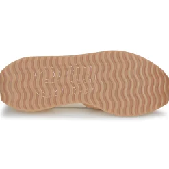 New Felmini - E145-VERSION-4