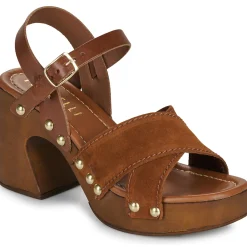 Online Fericelli - ADONIS Camel