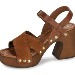 Online Fericelli - ADONIS Camel