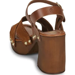 Online Fericelli - ADONIS Camel