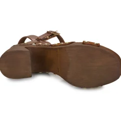 Online Fericelli - ADONIS Camel