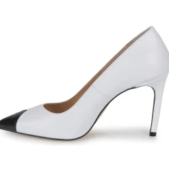 Fericelli - ALMUCEDI